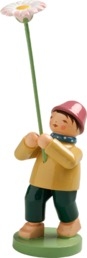 Junge mit Gänseblümchen