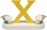Buchstabe X, mit Blumen